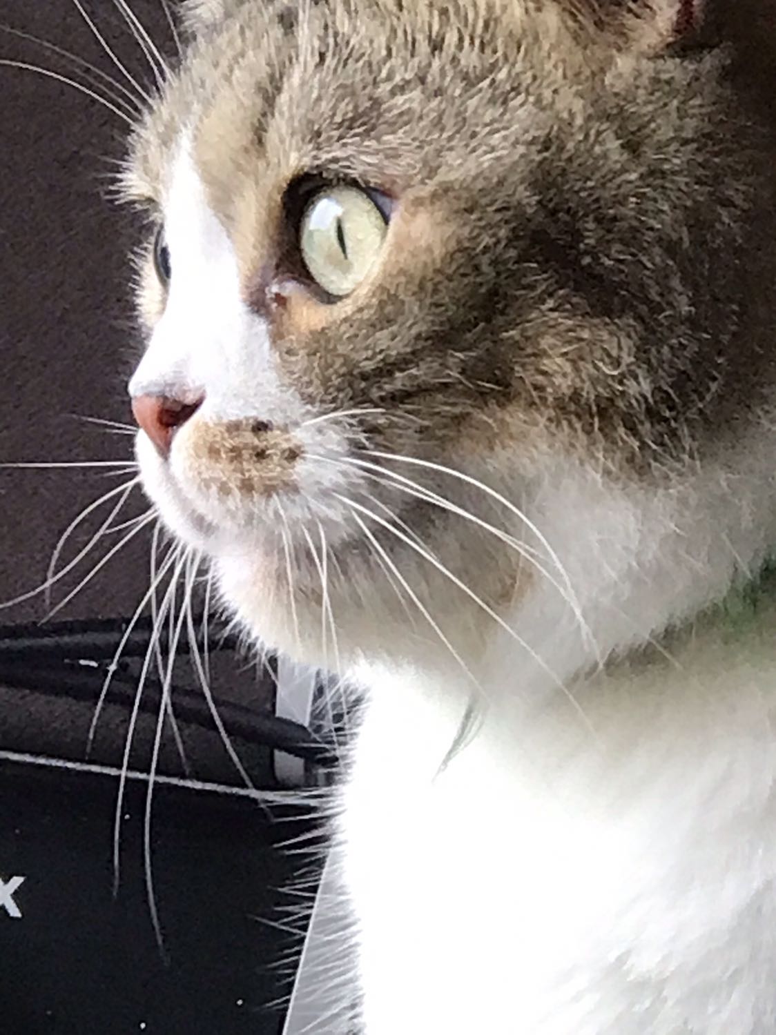 Sách hay và lôi cuốn
Tiki giao hàng tốt