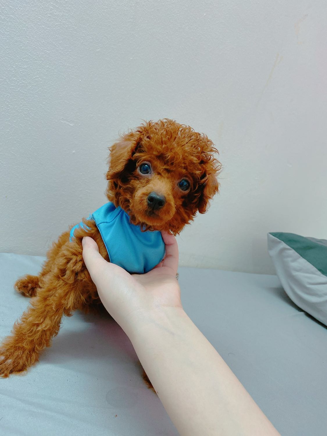 Sẩn phẩm tốt đáng mua nhé mọi người