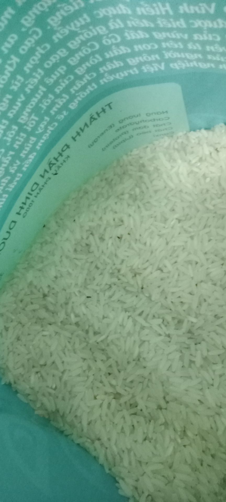 vừa khui ra là thấy mọt chạy tán loạn chứng tỏ đây là gạo cũ không được bảo quản tốt