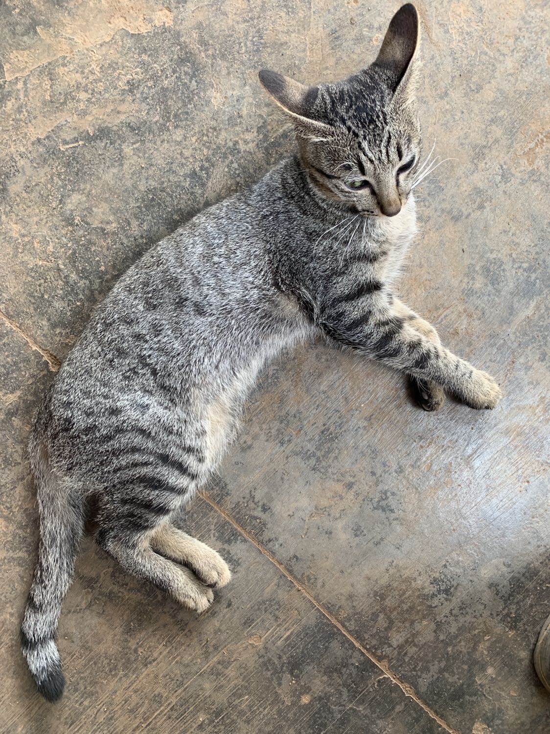 hàng đẹp giá rẻ, giao hàng nhanh. Shop tư vấn rất nhiệt tình, cảm ơn shop