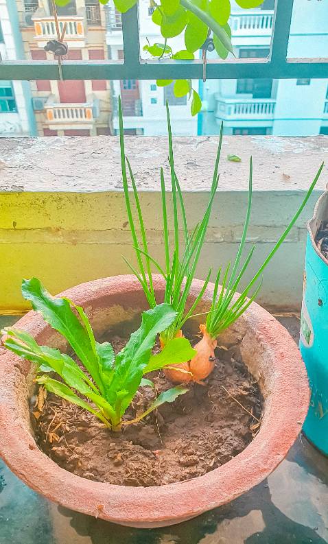 Khăn dùng thích. Giá phải chăng. Ảnh chỉ mang tính chất nhận astra