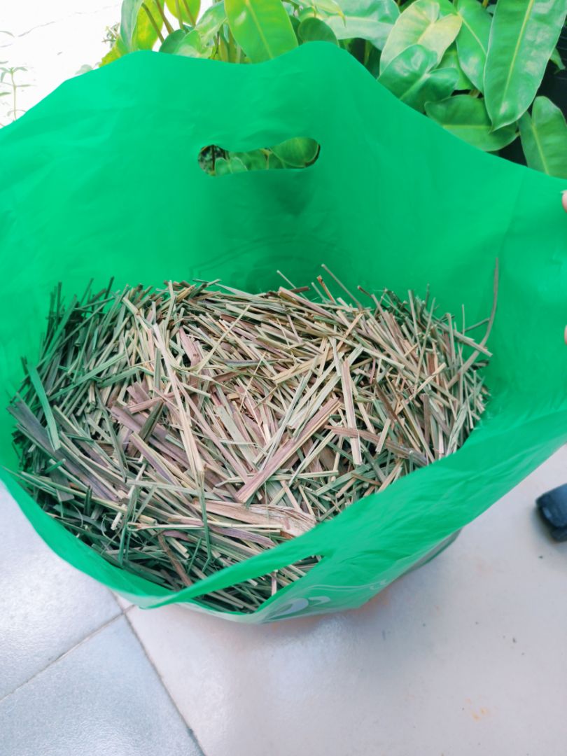 Bếp rất đẹp, màu xanh rêu vô cùng tươi mát.  Có 500gr sả và hộp 10 viên nến đầy đủ luôn. Shop còn gói hàng rất kỹ nữa, 10/10 cho sản phẩm và chất lượng. 🥰🥰🥰