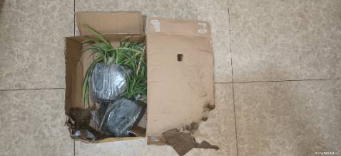 Đóng hộp chưa được tốt lắm, hơi móp, rách. Cây nhận được ok. Mà không thấy hàng tặng phân bón cho cây, hay là do mình không để ý nhỉ??? Vứt thùng đi rồi!