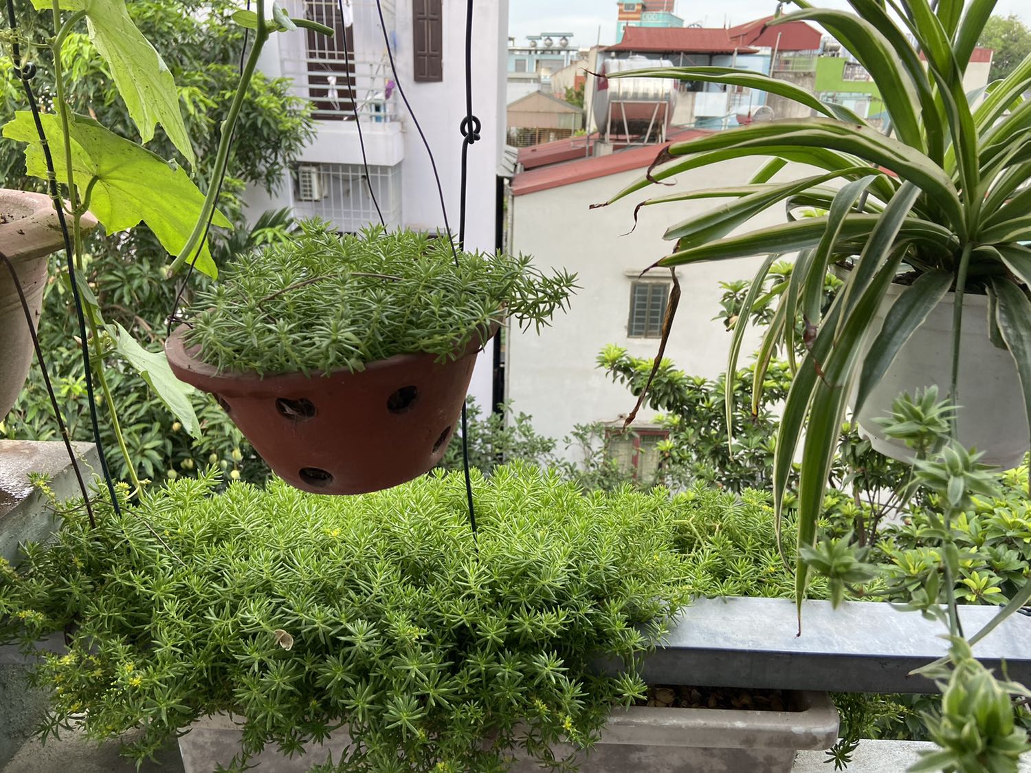 Đanh giá vì giao hàng nhanh, giá rẻ