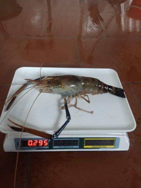 Đẹp xịn rẻ mn nên mua đi nkaaaaaaaaaaaaaaaaaaaaaaaaaaaaaaaa