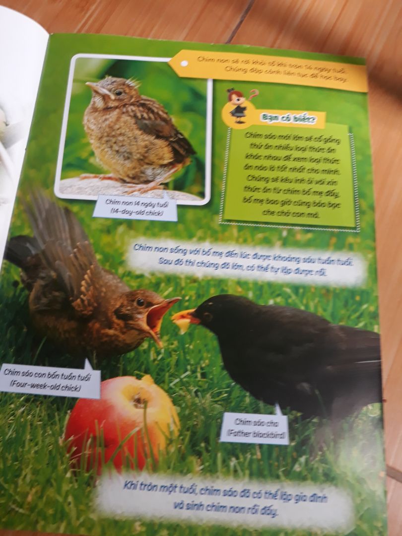 Sách đẹp. Giao hàng nhanh