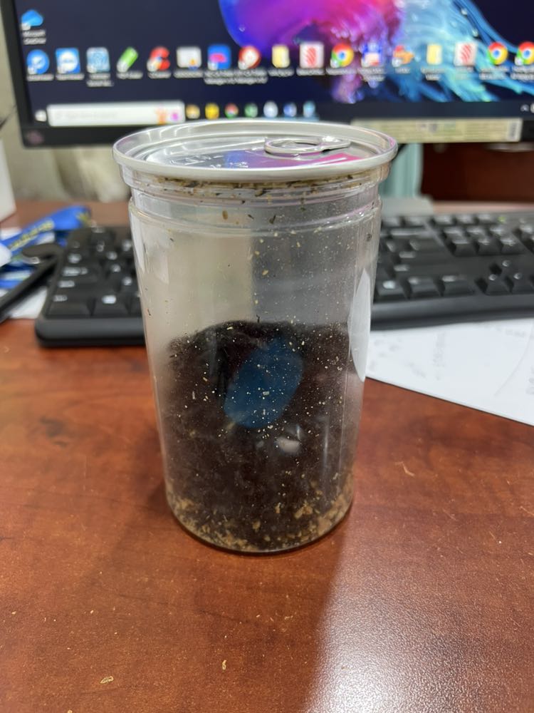 Rong biển hơi ít so với lần trước mình mua.