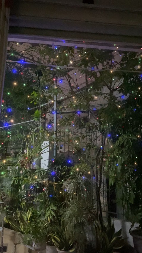 Đẹp pin tới sáng