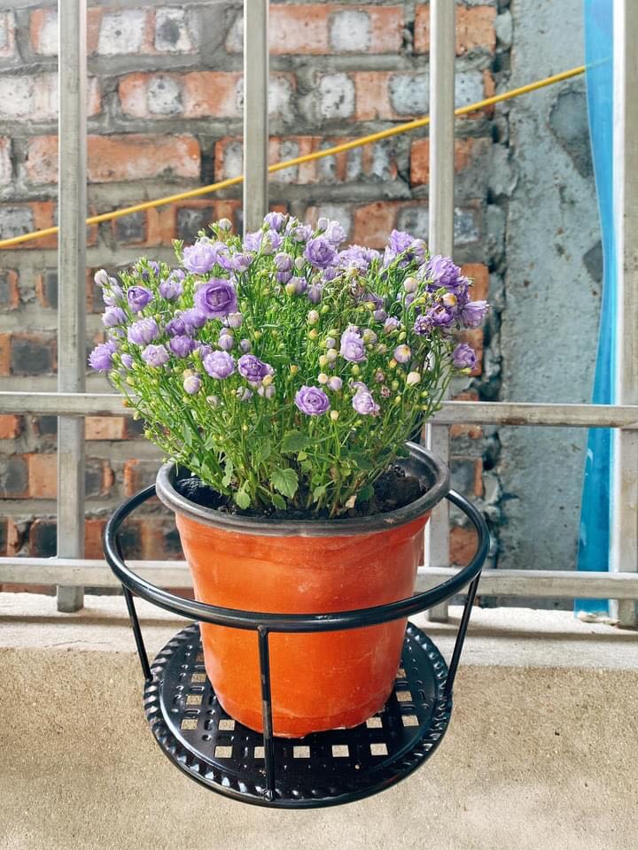 Mua lâu lắm rồi mà quên đánh giá. Hàng tốt, giá ổn, shop chuẩn bị hàng hơi lâu, bên vận chuyển giao nhanh.