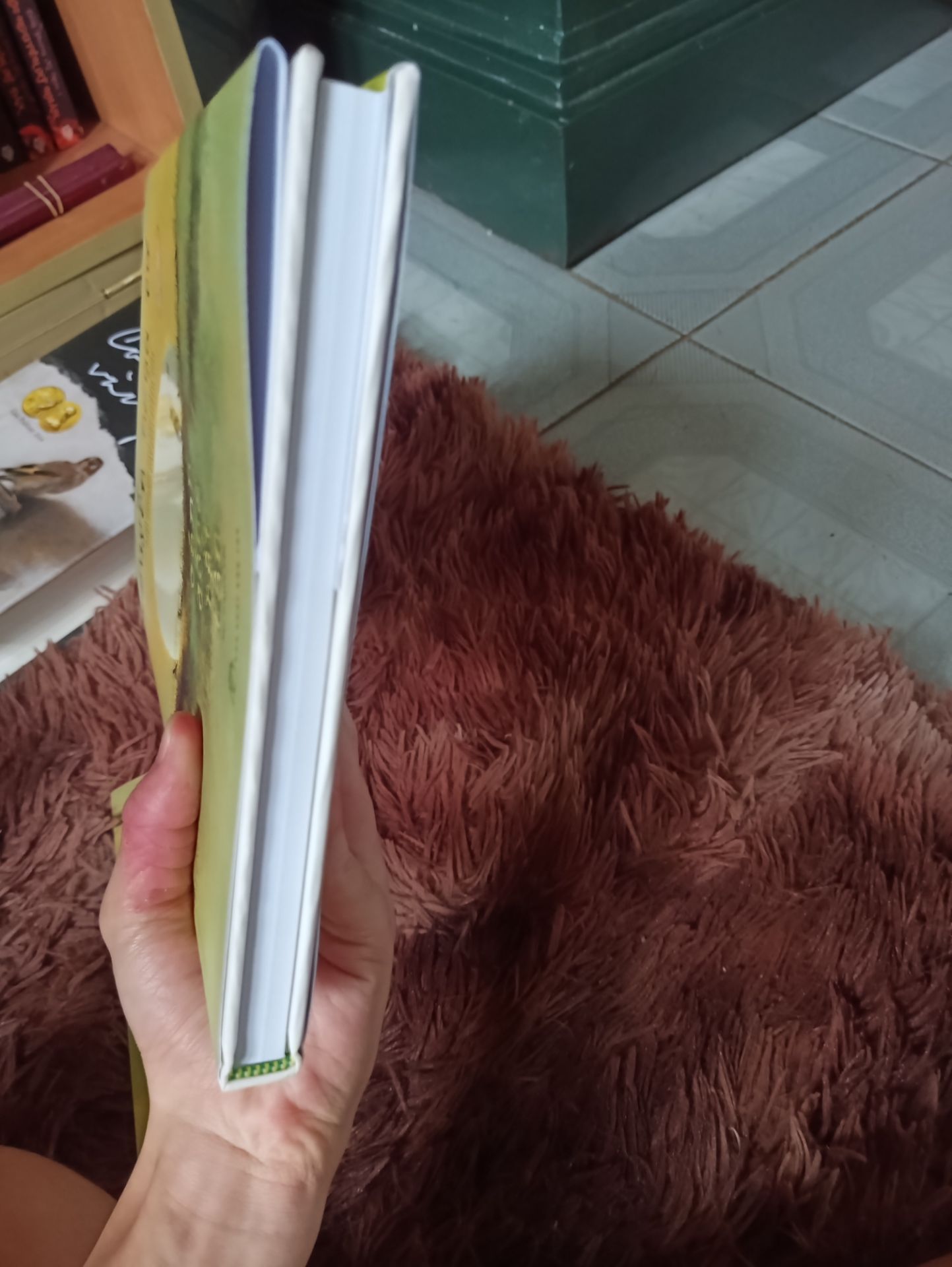 giao hàng nhanh, bao bọc rất cẩn thận( mong Tiki phát huy điểm này), sách rất đẹp, giấy chất lượng tốt, dày, gáy không bị gãy, nát, tranh minh hoạ kì công, phối màu rất hút mắt, đơn giản mà mộc mạc, phù hợp với không khí truyện.