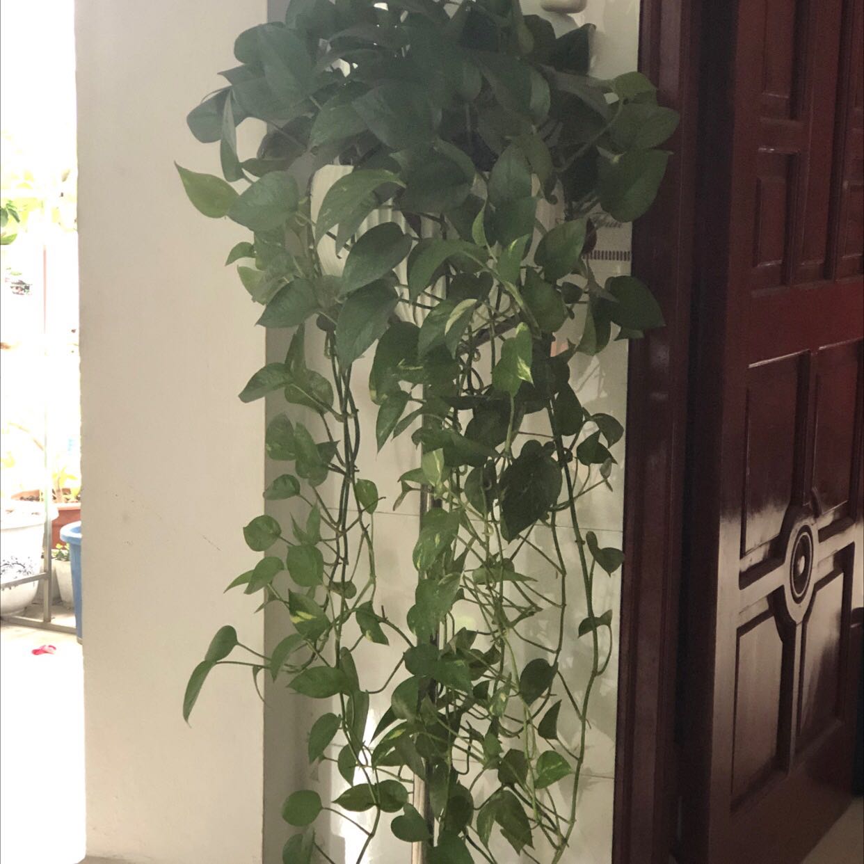 Ngon lắm hạt ngậy dễ ăn khuyến khích mọi người nên ăn thử nha