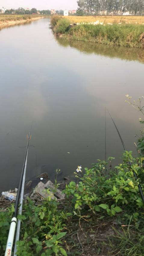 Hàng tốt . Mua lân đầu rát ưng nên mua thêm