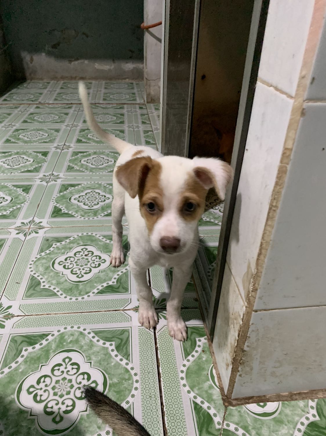 Cảm ơn tiki nhiều lắm . Tiki