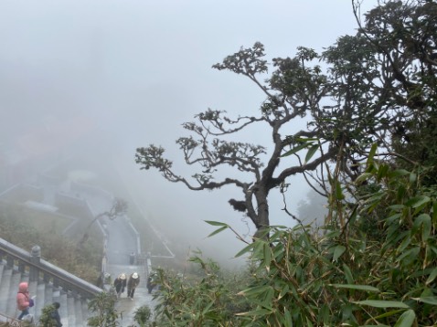 Mua giá 163k, ra s.thị thấy cũng tầm tầm đó nên ko gọi là giá tốt lắm. Mùi thơm thoảng thoảng ko nồng, mặc xíu là bay hết, ngoài ra chất lượng ok (hình mang tính cho có)