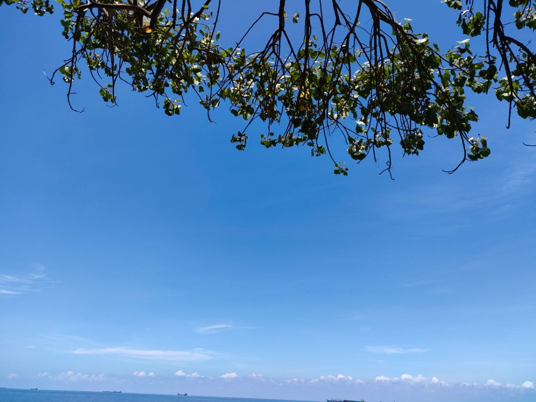 ốp siêu đáng yêu ???