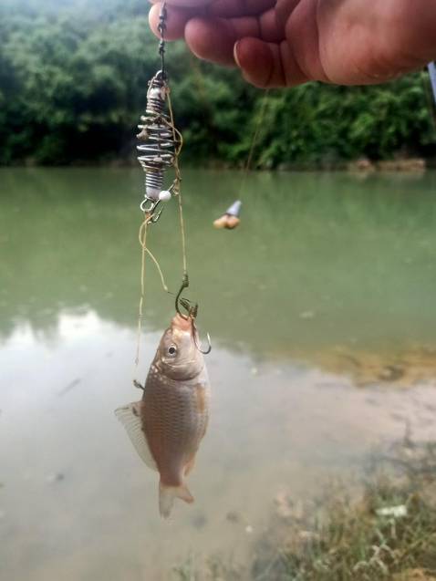 cho shop 5saoHàng khá chắc chắn đặt 2 lần r thank shop