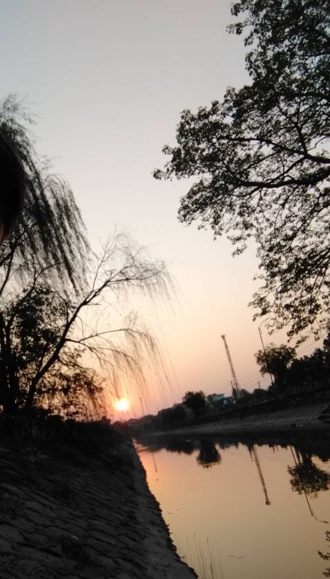 Tôi đã mua thêm 3 cây nữa của shop rồi.haha Đánh giá 5 sao