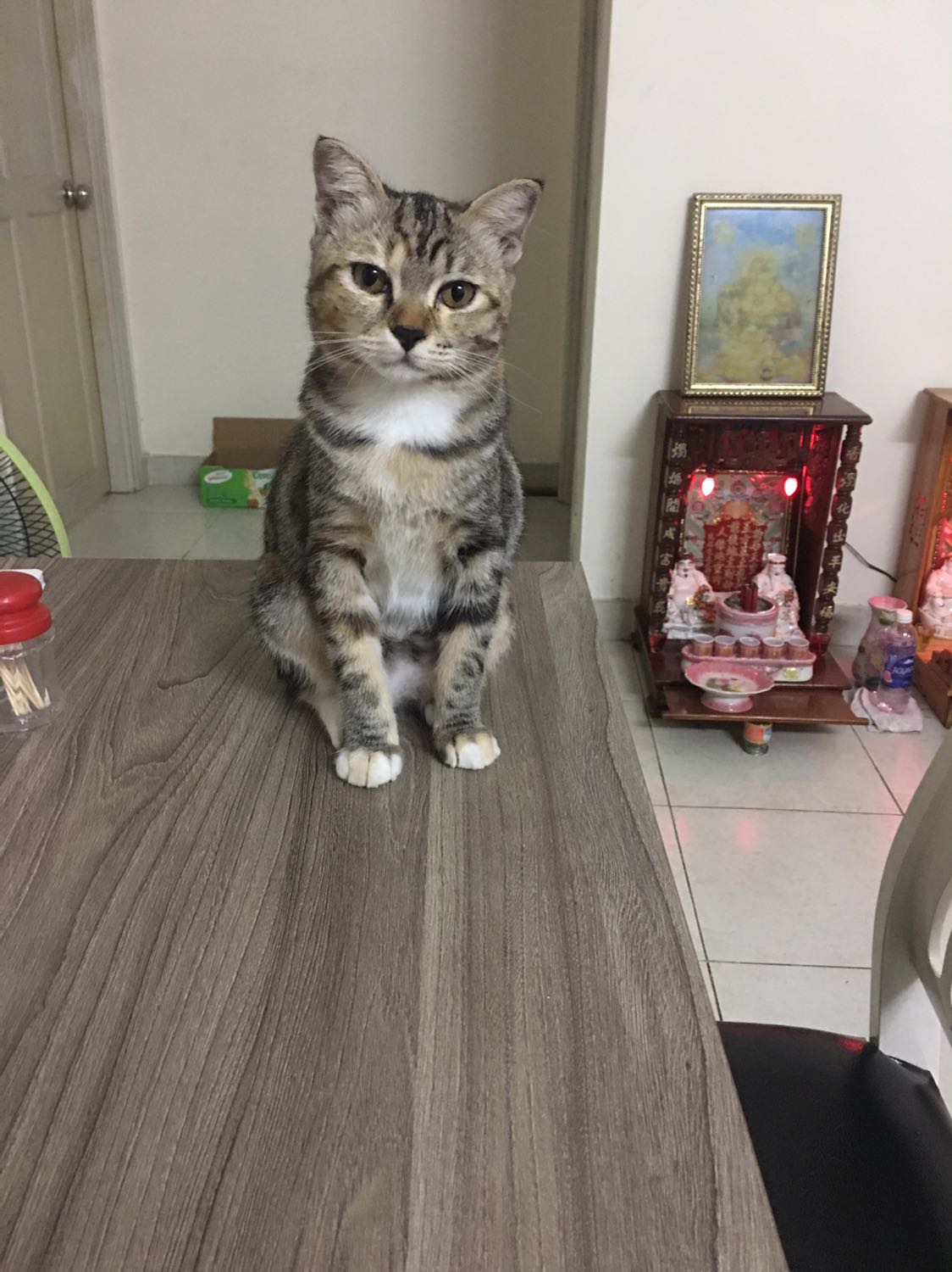 Sao mình ko nhắn tin shop dc nhỉ, mình muốn xuất hoá đơn nhưng mãi ko thấy shop gửi á, mình đã đăng kí xuất hoá đơn khi đặt hàng