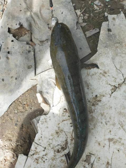 Hàng đóng gói cẩn thận, giao hàng nhanh, chưa dùng nên chưa biết tn