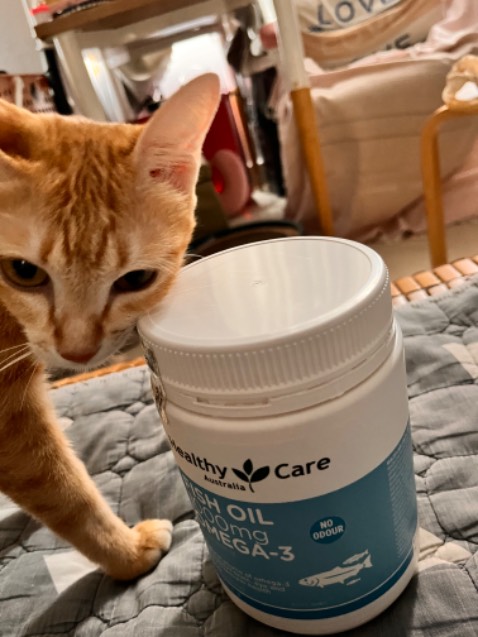 Hàng tốt, dung tương xuyên thấy hiểu quả rõ rệt, tốt cho người lớn tuổi, giao nhanh, đóng gói tốt Hàng tốt, dung tương xuyên thấy hiểu quả rõ rệt, tốt cho người lớn tuổi, giao nhanh, đóng gói tốt