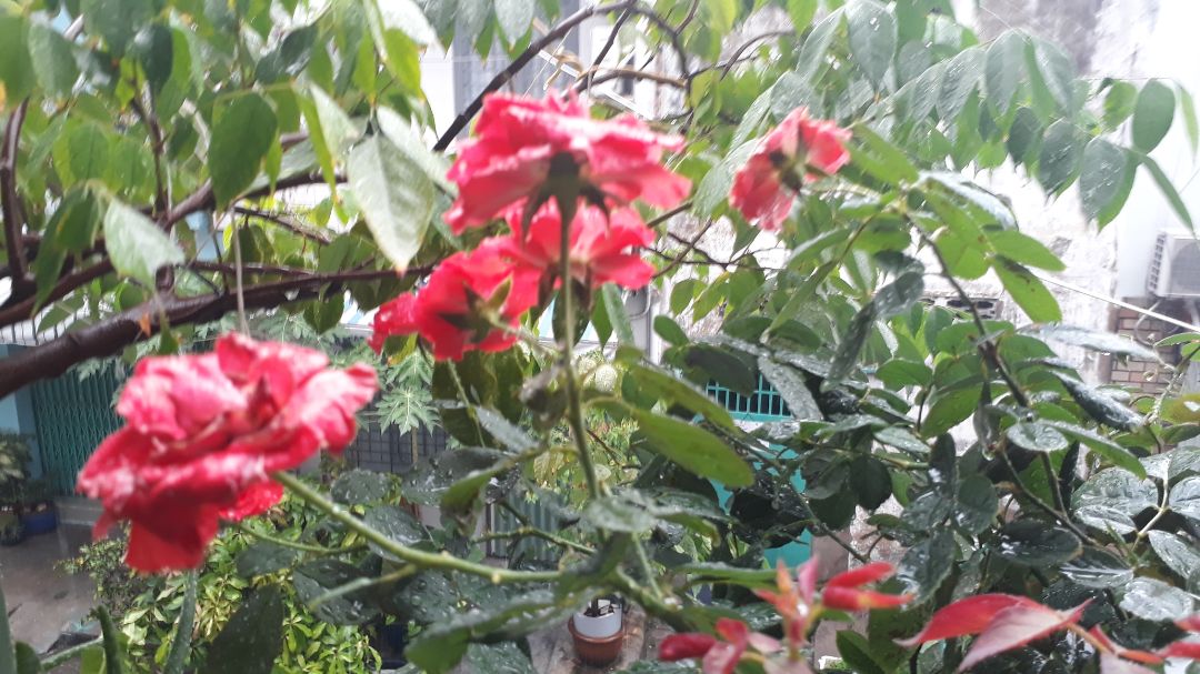 hàng tốt chất lượng