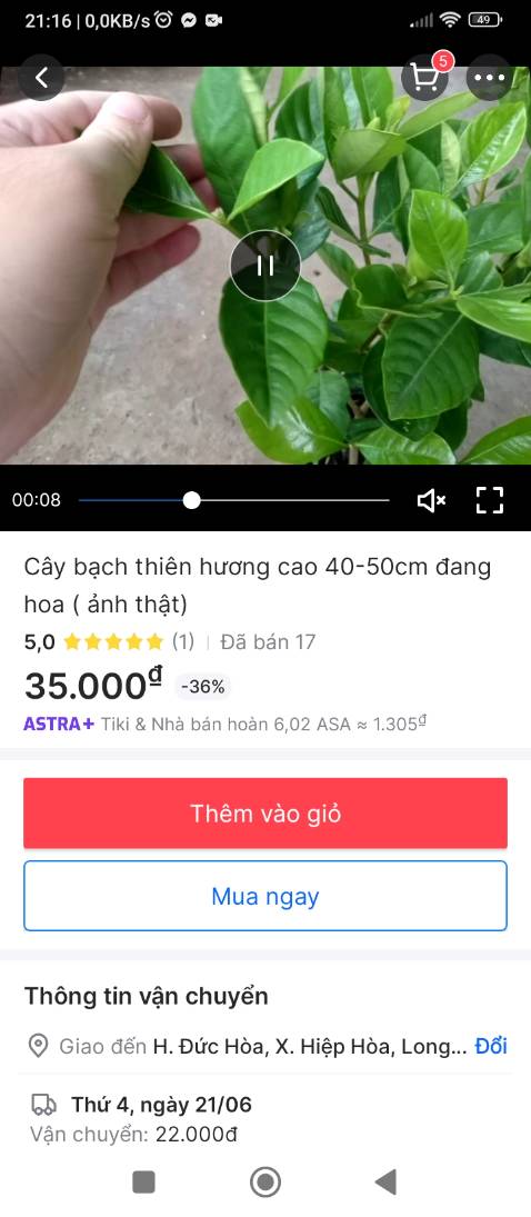 Đóng gói kỷ cây tốt rất thích
