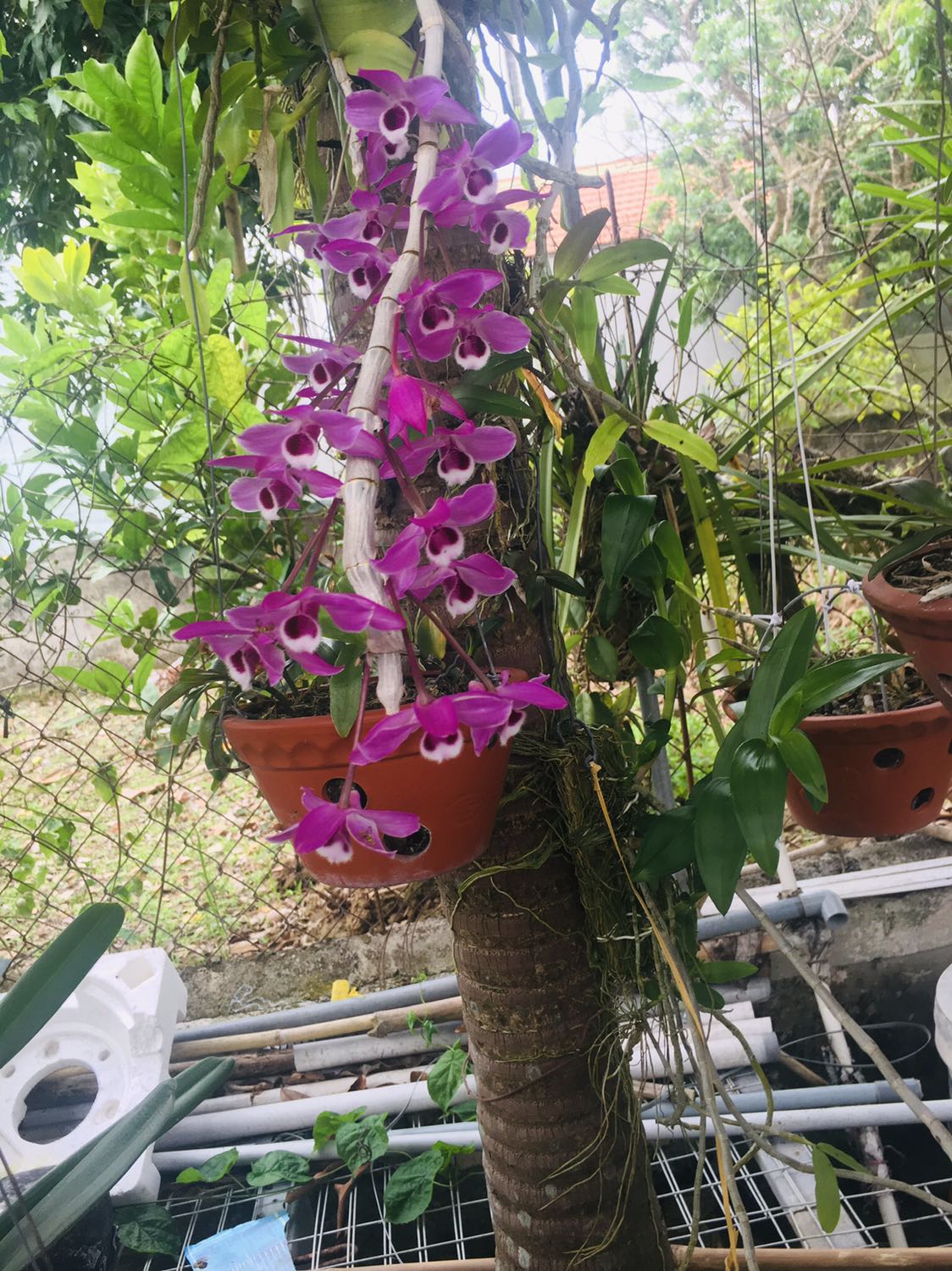 Hàng chuẩn lượng