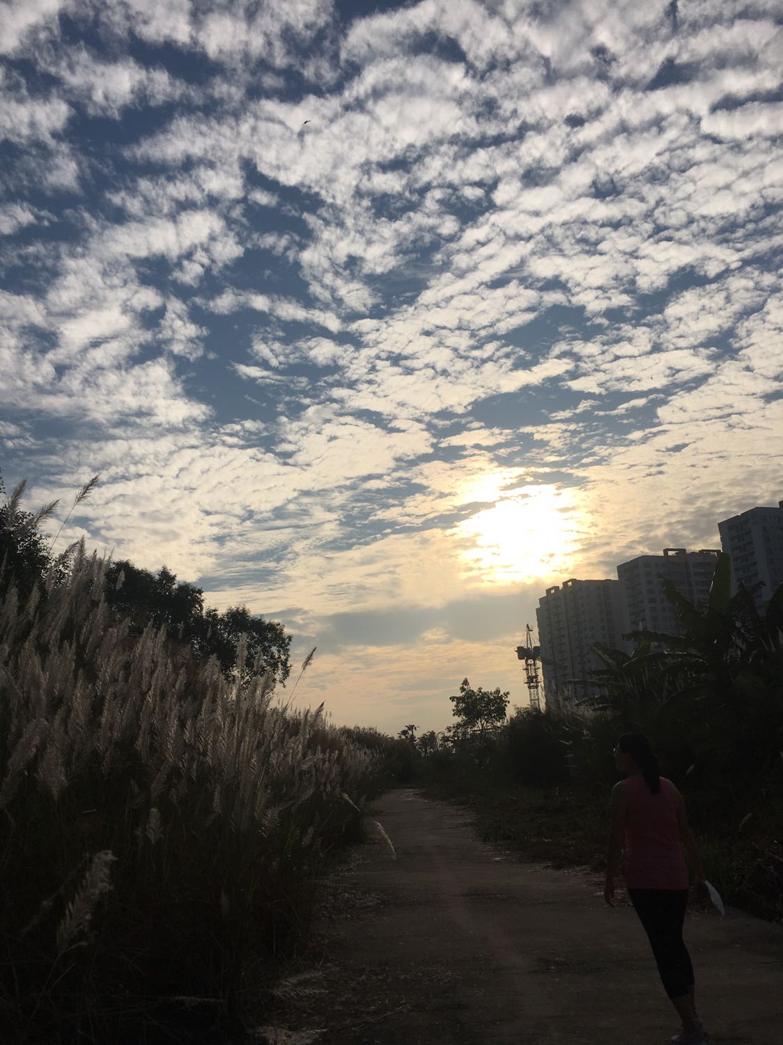 Tưởng ko đẹp mà đẹp ko tưởng. Gói hàng kĩ càng giao hàng nhanh. Da siêu mịn siêu bóng. Sẽ mua lại ạ.