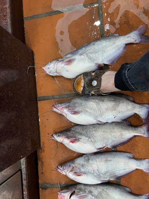 Hàng đẹp giá cả hợp lý, shop phục vụ tốt, nhanh nhẹn. Ủng hộ shop lâu dài..... hợp với đội mê đồ câu