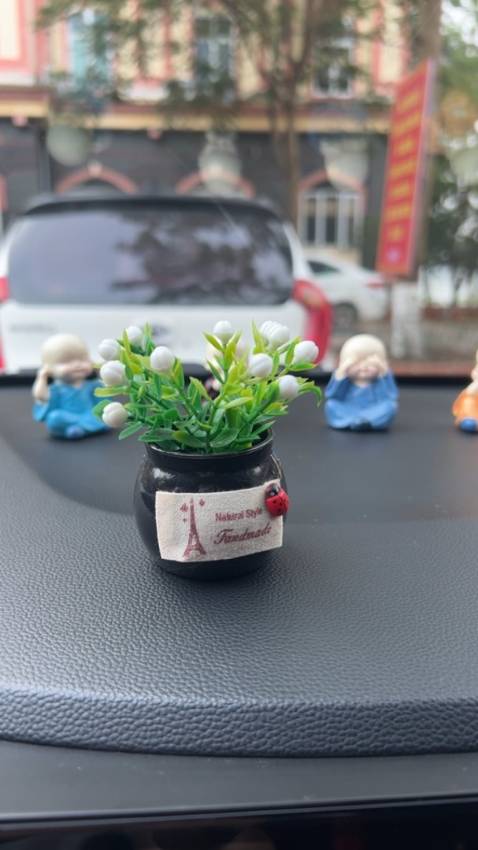 Giao hàng đầy đủ. Mẫu giống hình. Đóng gói cẩn thận