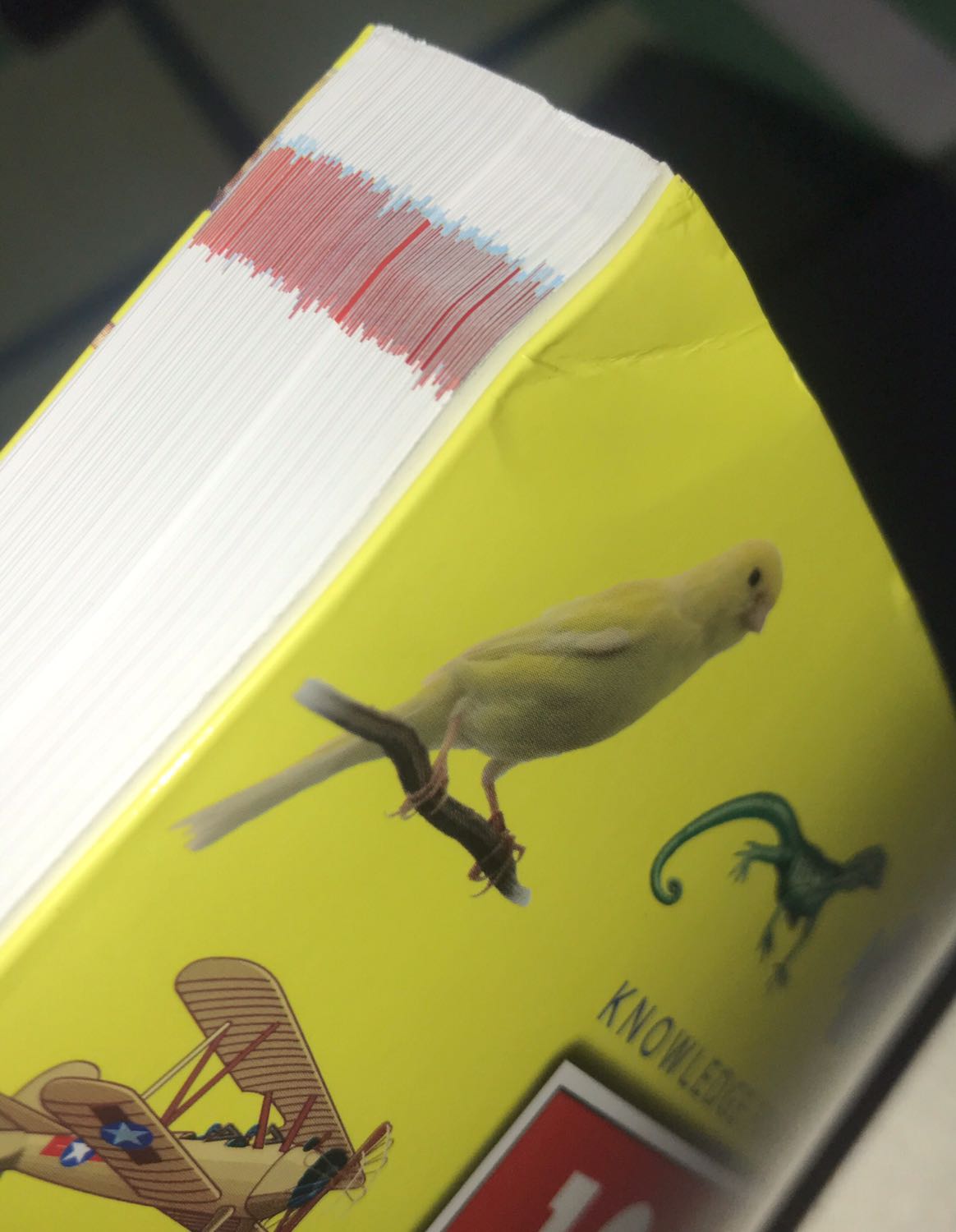 Có bọc nilong, sách bỏ vô hộp giấy to không chèn góc nên vận chuyển làm móp vầy nè, hơi khó chịu