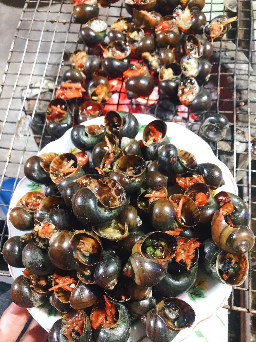 ép đc nhiều nước, sp ko có bàn chải để rửa bộ lọc