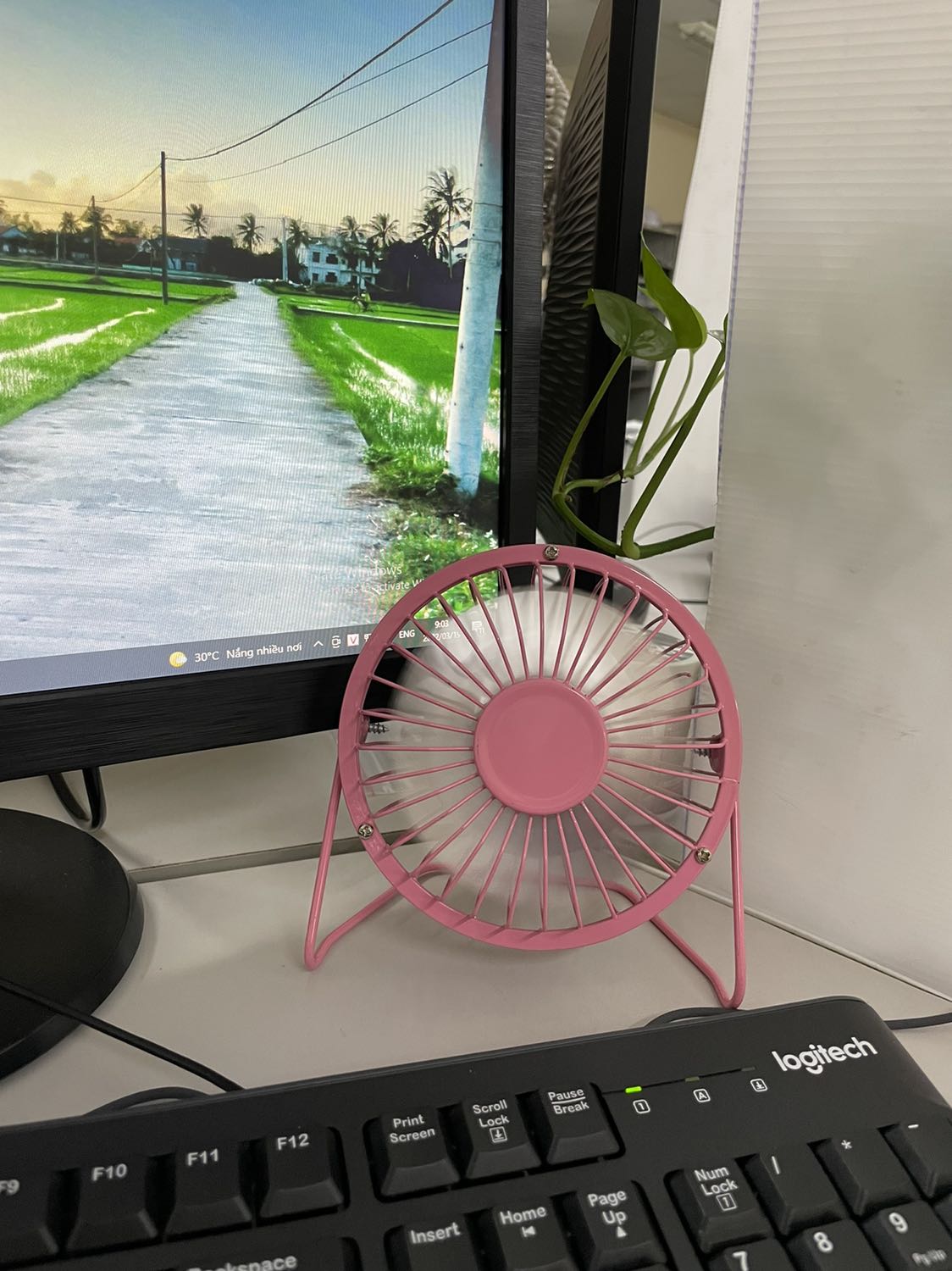 cốc đẹp như hình tuy nhiên hơi nhỏ, trên giới thiệu để sản xuất tại việt nam nhưng bao bì hộp bên ngoài là xuất xứ Trung Quốc, vì để Việt Nam nên chấp nhận giá cao hơn các chỗ khác chứ TQ thì đã không mua.
Tạm được