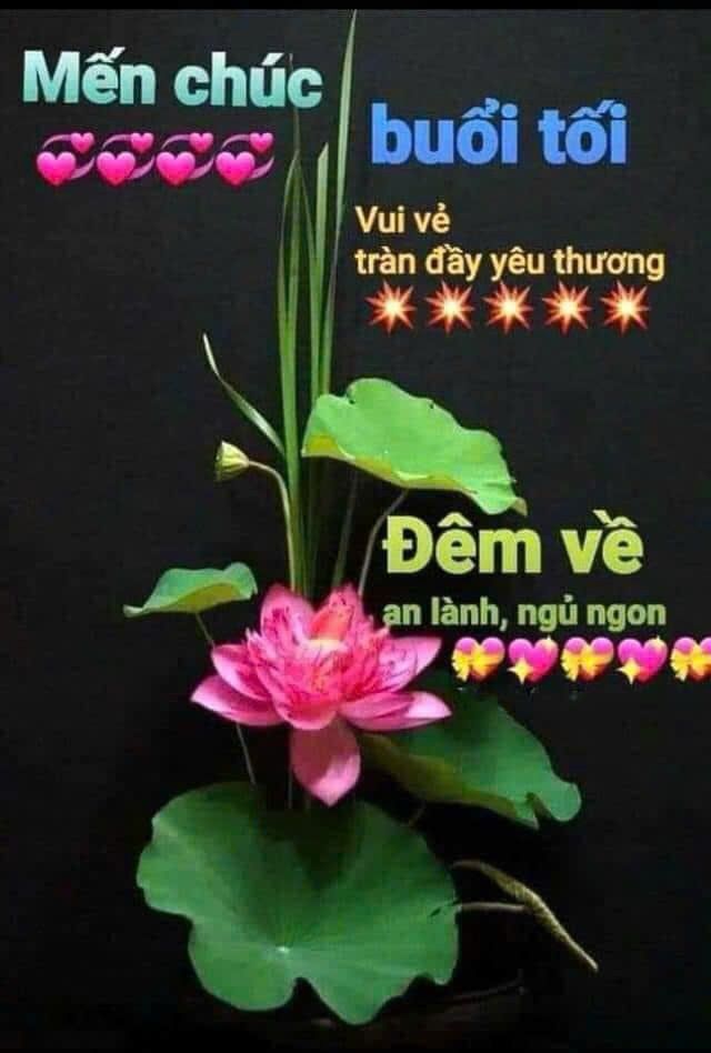 Bao bì đóng gói cẩn thận, thời gian hàng đến tay người dùng siêu nhanh, đã *** thử, dụng cụ này nâng được trọng lượng cỡ 120kg, tài xế giao hàng của Tiki rất thân thiện, nhiệt tình