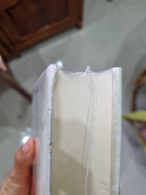 Tiki chỉ để cuốn sách vào trong 1 bọc gói đồ, không lót gì cả, móp hết 2 góc sách. Buồn ghê. Nói hoài. Chán.