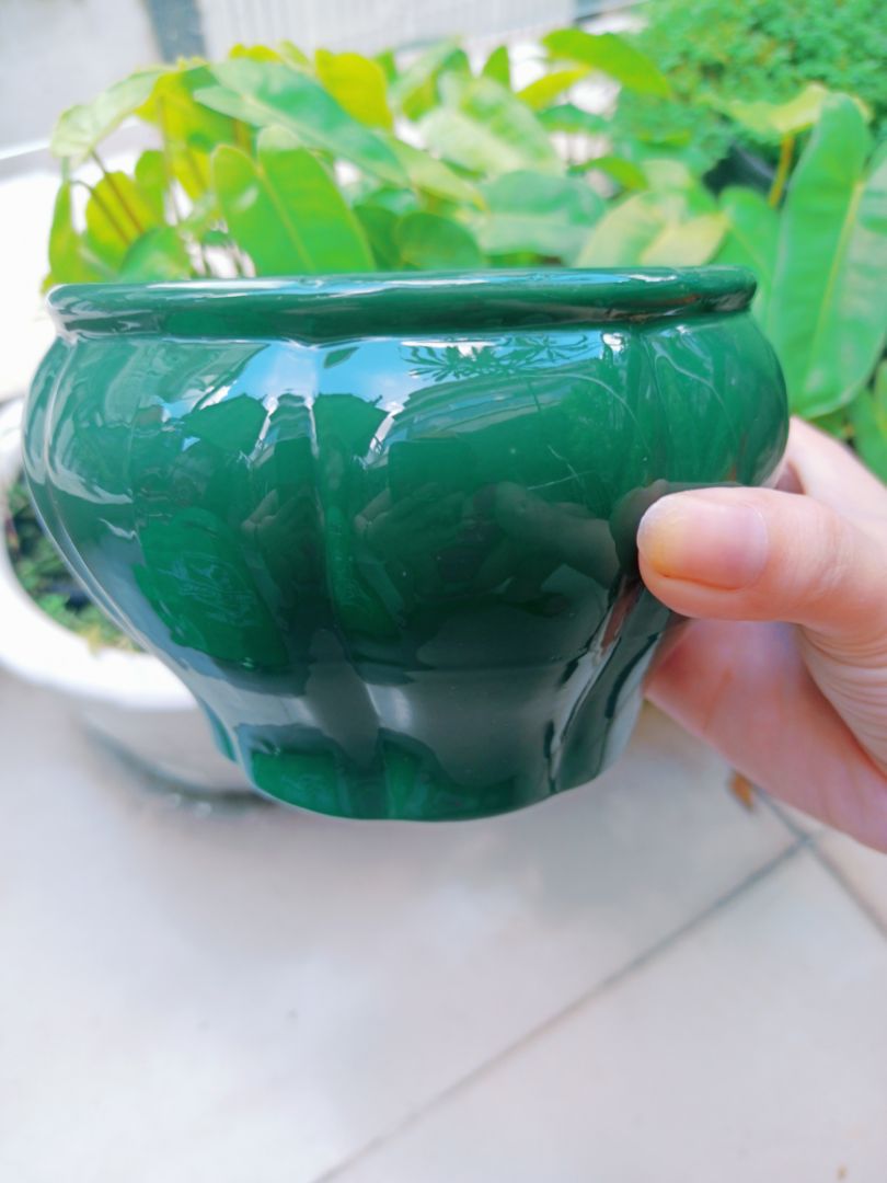 Bếp rất đẹp, màu xanh rêu vô cùng tươi mát.  Có 500gr sả và hộp 10 viên nến đầy đủ luôn. Shop còn gói hàng rất kỹ nữa, 10/10 cho sản phẩm và chất lượng. 🥰🥰🥰