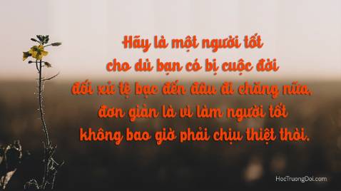 Tiện lợi . Tiki giao hàng khỏi phải chê , giao nhanh , nhân viên lịch sự với khách hàng . Sẽ mua thêm 1 cái nữa hi vong chất lượng không tahay đổi . Lần này thì 5* nhé shop
