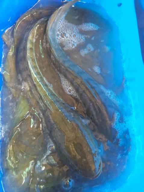 Sản phẩm tốt chất lượng nên mua. ghế đẹp như hình đầy đủ phụ kiện