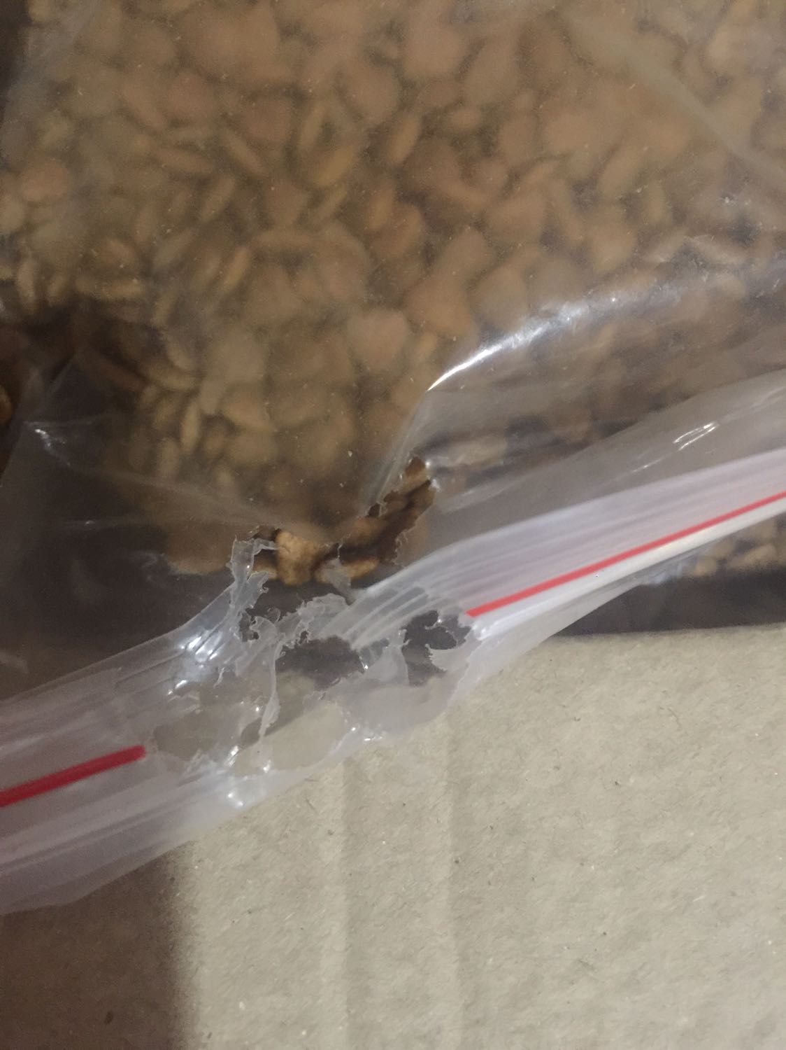 Hộp bị chuột cắn vô trong, rách luôn bao hạt đổ ra ngoài, vậy mà còn dán lại để lấp liếm giao khách. Ko rõ do nhà bán hay do bên kho mà phản ánh để Tiki làm việc lại. Nếu mèo ăn bị bệnh thì Tiki & nhà bán có đền được chăng?