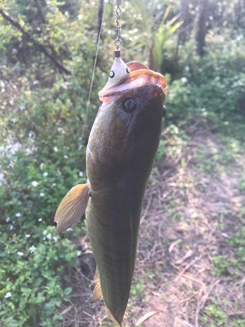 ok nhưng mà mới chia tay người yêu nen hơi buồn