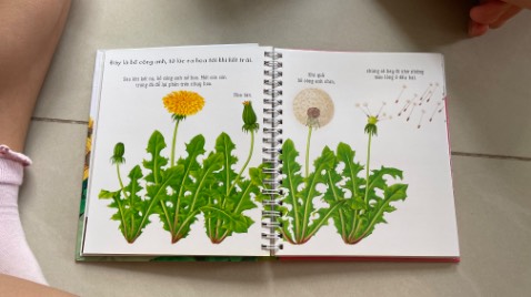 Sách màu quá đẹp, in giấy cứng, nội dung tuyệt vời, rất phù hợp với các bạn dạy theo pp Montessori