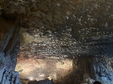 ảnh mang tính chất không liên quan