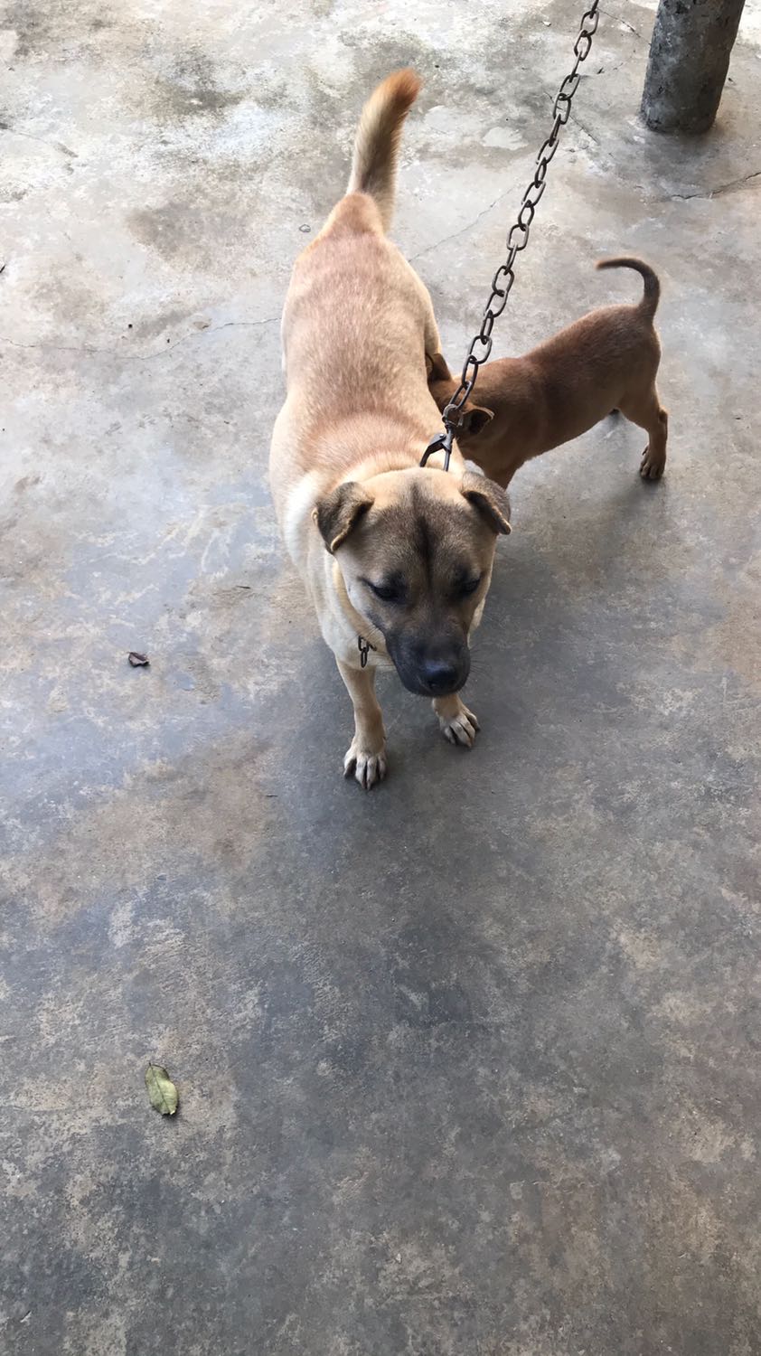 Bọc hơi sơ sài nhưng không bị móp, giao hàng nhanh, sách tốt. Cho shop 5 sao nhé