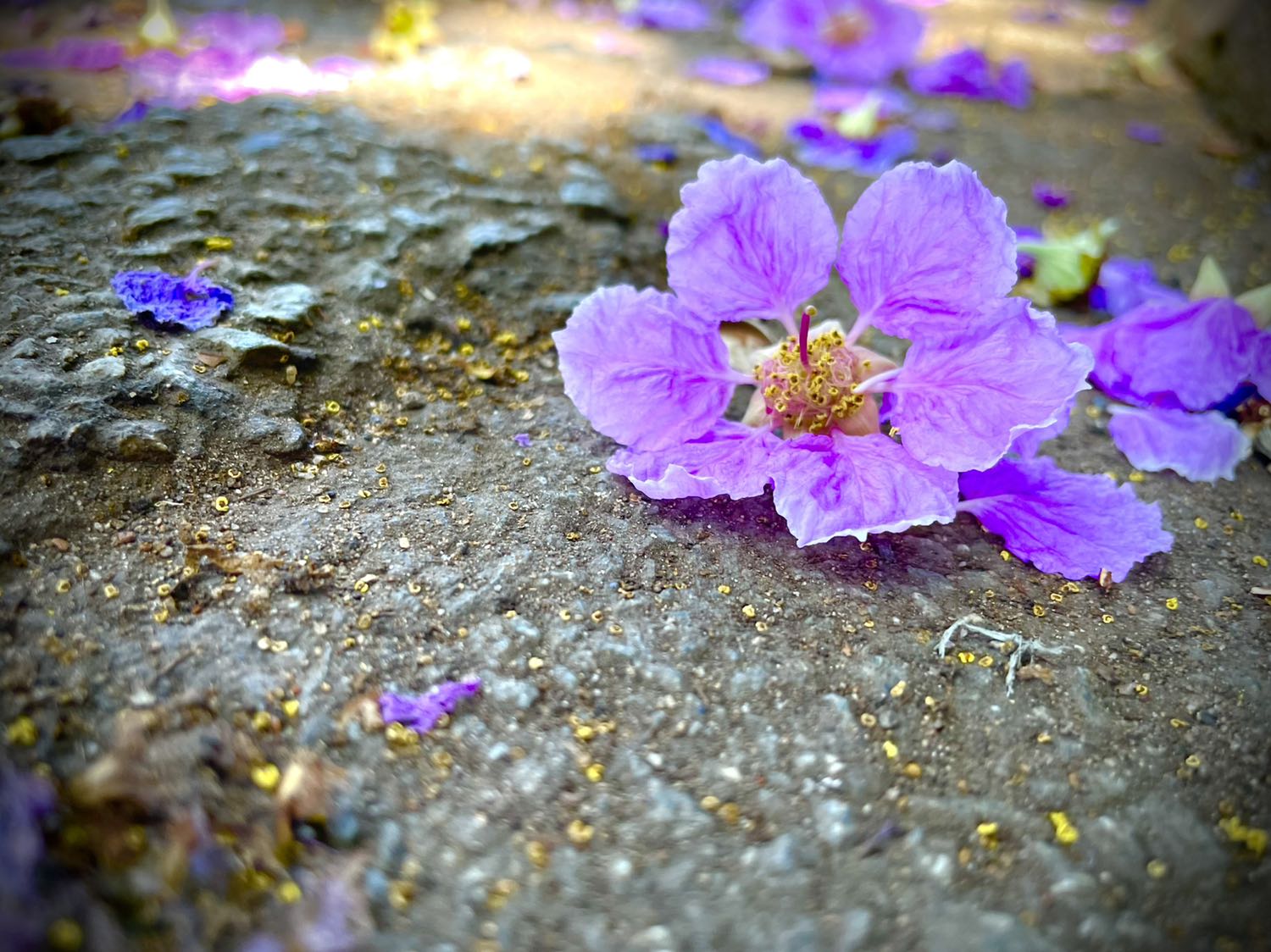 Sách đẹp, tiki giao nhanh, nghĩ dịch thì sẽ giao khó khăn nhưng Tiki giao vẫn đúng hạn như thông báo, rất thích