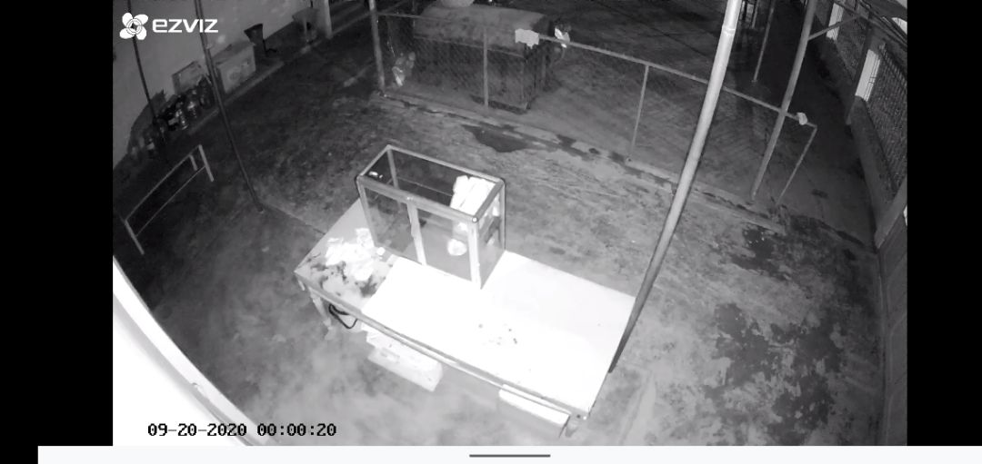 sản phẩm quá tốt trong tầm giá. hình ảnh nét, thu âm, đàm thoại 2 chiều to rõ, cắm lâu cảm thấy cam có vẻ hơi nóng .nhân viên tư vấn hỗ trợ rất nhiệt tình.