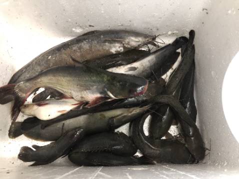 Hàng chất lượng, đóng gói đẹp