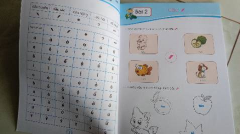 Giáo hàng nhanh, màu sắc đẹp mắt, chu rõ ràng