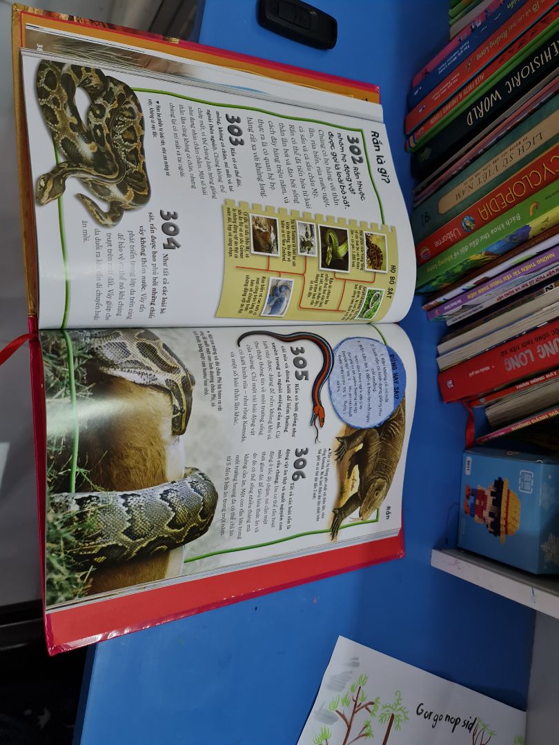 Sách có hình ảnh sống động,  mà đẹp.