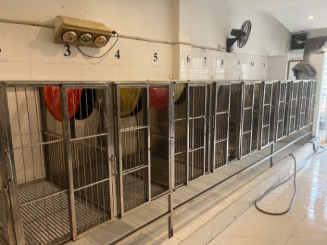 Âm đùng được thôi.đun bếp từ không nhanh lắn.