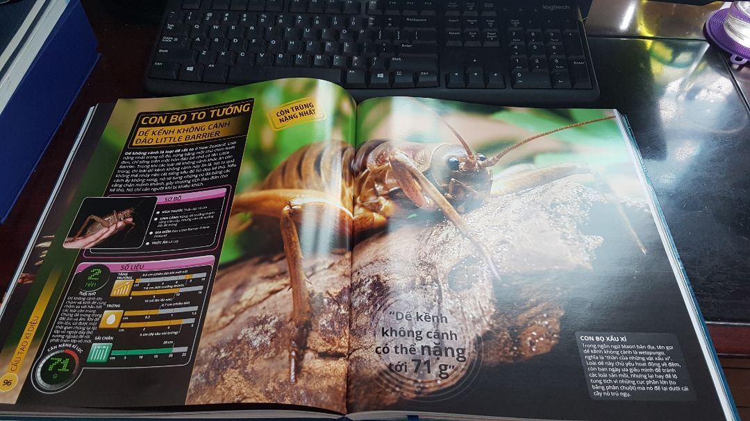 Sách đẹp ! Nội dung phong phú ! 
Giao hàng trước thời hạn. Hi vọng giá down chút nữa với sản phẩm sách khác , sẽ mua bổ sung .